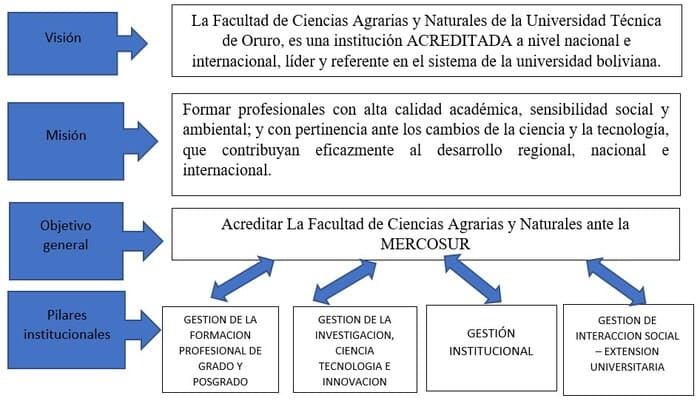 Descripción de la imagen